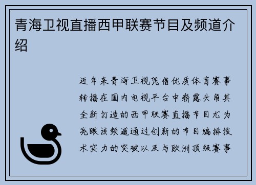 青海卫视直播西甲联赛节目及频道介绍
